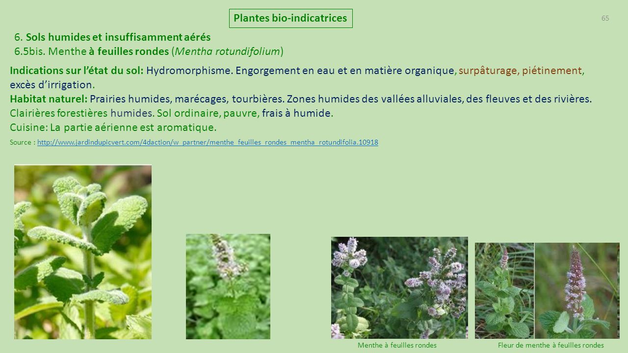 Plantes bio indicatrices de France ppt télécharger